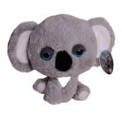 Big Headz koala maci plüss nagy kék szemekkel szemből