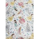 Disney hercegnős szájmaszk