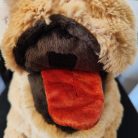 IKEA GOSIG GOLDEN óriás 70cm retriever plüss száj csukva, lógó piros nyelv