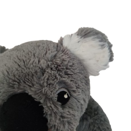  koala plüss jobb fül közelről