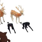 Vegyes állat csomag