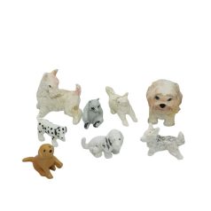 Vegyes állat csomag