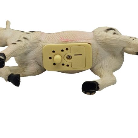 Élethű hangot adó zebra