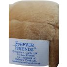 Forever Friends maci Hallmark
