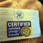 Maci plüss Asztma és allergia-barát  Build-A-Bear 