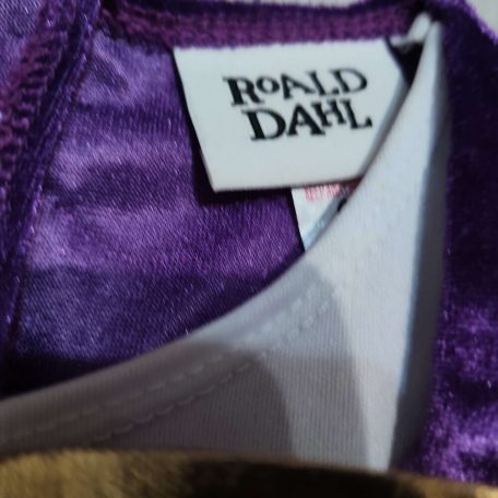 Roald Dahl, Willy Wonka jelmez zakó 9-10 év