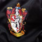 Harry Potter Griffindor jelmez 7-8 év 