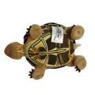 Henrietta plüss teknős Mágikus állatok iskolája Heunec