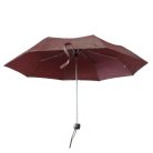 Rozsdabarna esernyő