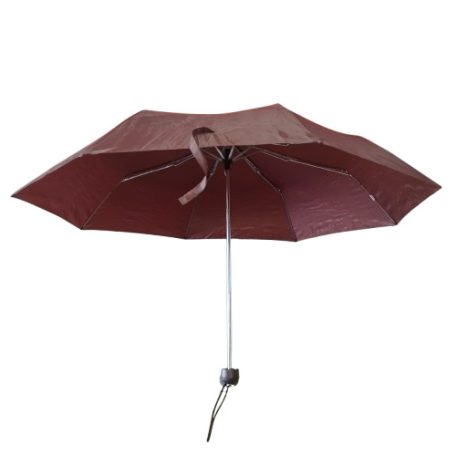 Rozsdabarna esernyő