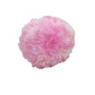 Nyuszi  plüss és plüss labda egyben