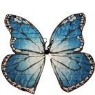 Óriás Pillangószárny Kék