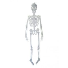 Halloween fluoreszkáló akasztható csontváz 150 cm
