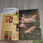 Disney Első Enciklopédiám belső illusztráció szarvasokkal és madarakkal