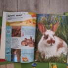 Első Enciklopédiám Micimackóval és barátaival 15 kötet Disney