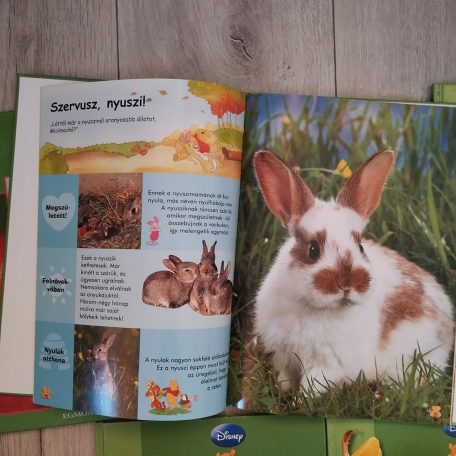 Első Enciklopédiám Micimackóval és barátaival 15 kötet Disney