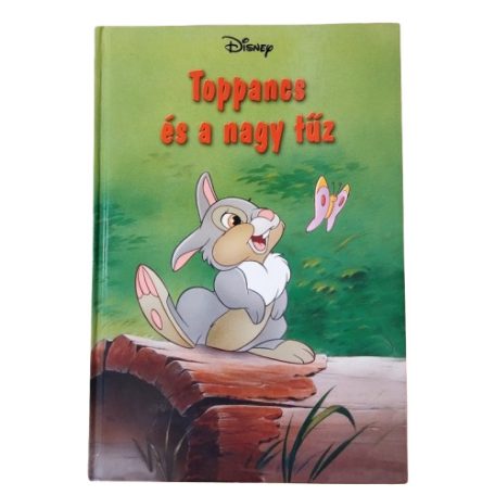Toppancs és a nagy tűz mesekönyv Disney