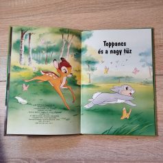 Toppancs és a nagy tűz mesekönyv belső címoldal illusztrációval