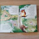 Toppancs és a nagy tűz mesekönyv Disney