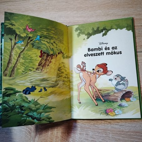 Bambi és az elveszett mókus mesekönyv Disney