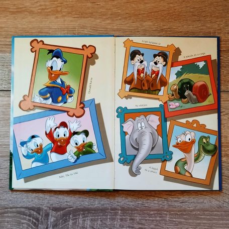 Disney illusztrációk az állatbemutató résztvevőiről