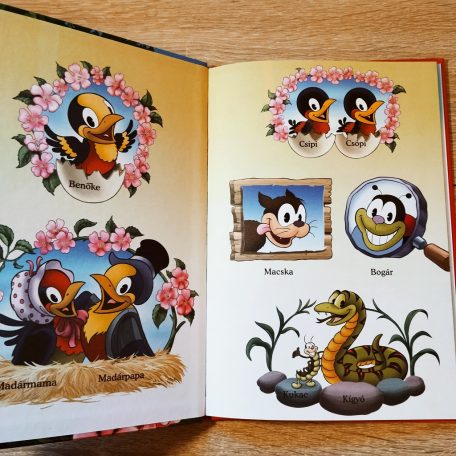 Ne nézzetek madárnak! mesekönyv Disney