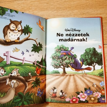 Benőke a kismadár világgá indul illusztráció
