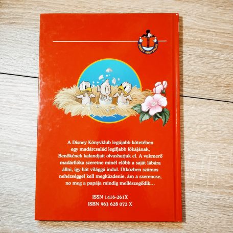 A Ne nézzetek madárnak mesekönyv hátoldala a fülszöveggel