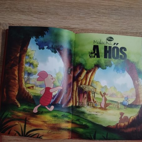 Malacka a hős mesekönyv belső oldal illusztráció