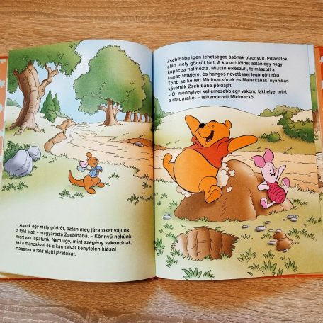 Részlet az Otthon édes otthon meséből illusztrációval