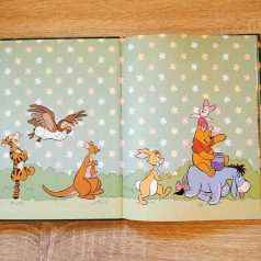 A vízi túra Walt Disney