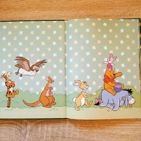 A vízi túra Walt Disney