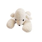 Mikrózható bárány