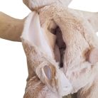 Plüss nyuszi Bhs Limited 50 cm