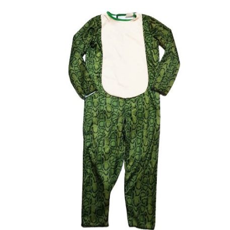 Dinoszaurusz jelmez 7-10 év