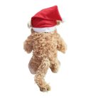 Mikulás sapkás majom / Nevetgélő -elemes